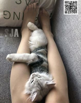国产成人精品黑人亚洲直播_迅雷在线观看
